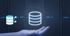 web hosting provider