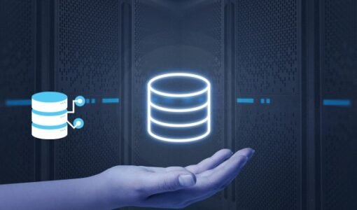 web hosting provider